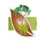 Logo MONSIEUR JEAN YVES MORIN