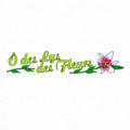 Logo O DES LYS DES FLEURS
