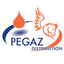 Logo PEGAZ DISTRIBUTION