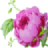 Logo TILLEULMENTHE