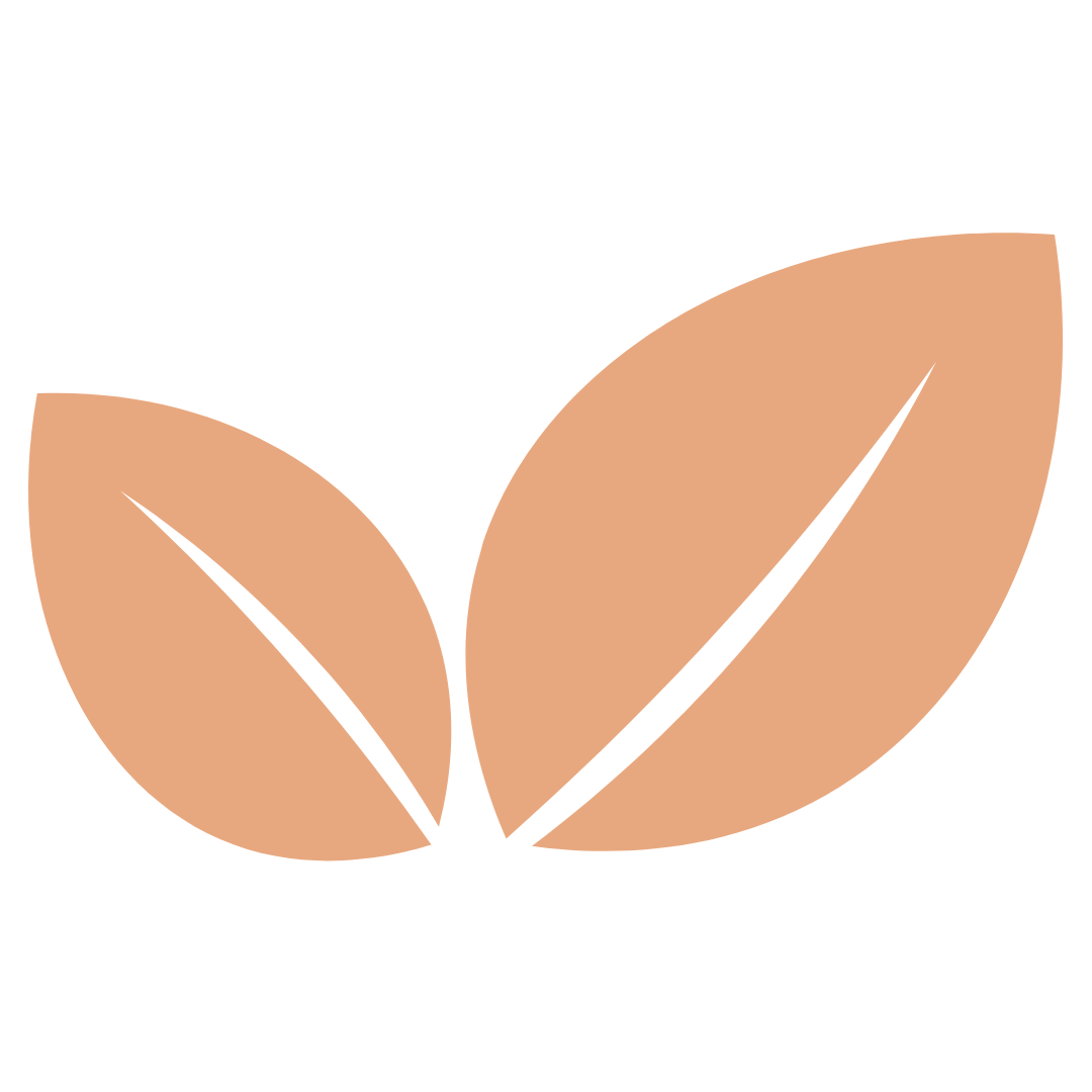 Logo MADAME VIRGINIE DIDIER-DEBARD