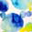 Logo MADAME LAETITIA PACCOUD