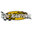 Logo LOC'KARTING