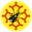 Logo ASSOCIATION DES APICULTEURS D'OCCITANIE