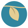 Logo LE MOULIN DES TEMPLIERS