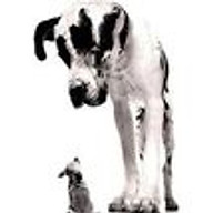 Logo CLUB CANIN DU GRAND NANCY