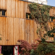 Logo DOJO LYON MASSENA