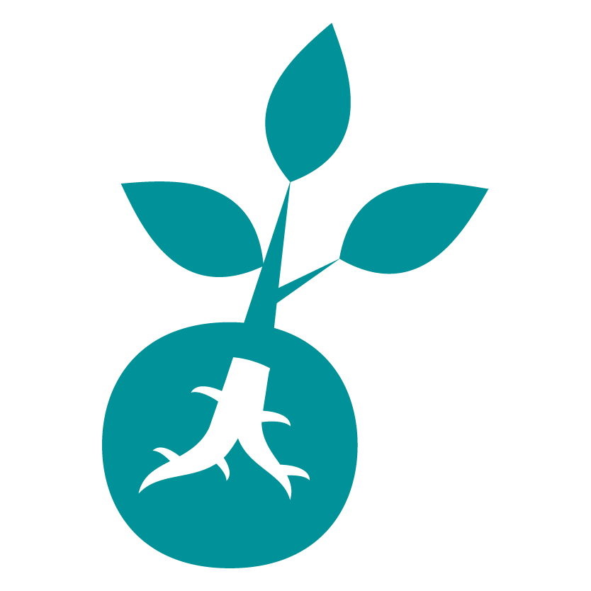 Logo ECLOLINK