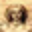 Logo MONSIEUR PASCAL SPITZER