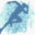 Logo 533 376 570 