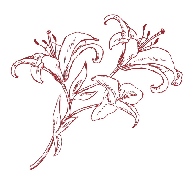 Logo ASSISTANCE FUNERAIRE DU VAL DE MARNE