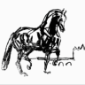 Logo SAUMUR DRESSAGE