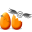 Logo PEP'S WEB