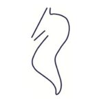 Logo PGF PATRIMOINE