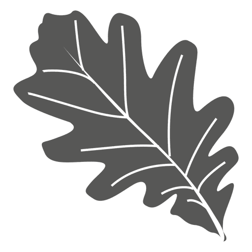 Logo MADAME VIRGINIE DOMENECH-FERAUD