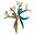 Logo MADAME MARIA ARLETE MONTEIRO