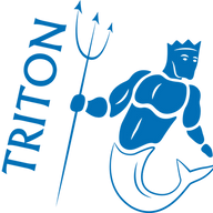 Logo MULTI SAFETY SUPPORT SYSTEM