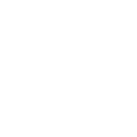 Logo EVOLUTION COMPANY