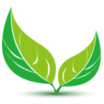 Logo MONSIEUR MICKAEL MUNOZ-BARRENCO