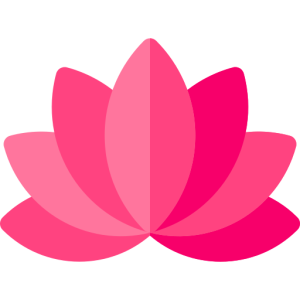 Logo JEVA-RONDINAUD