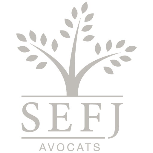 Logo SEFJ AVOCATS