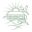 Logo SAMPIERO CORSO