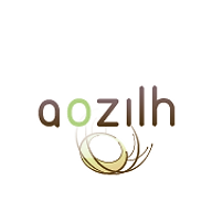 Logo MONSIEUR STEPHANE DELEAU