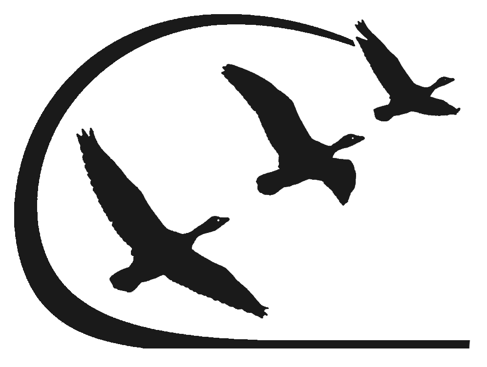 Logo RICHARD SAS