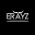Logo ERAYZ GROUP