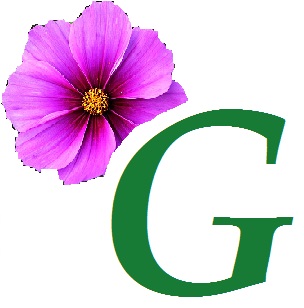 Logo MADAME VALERIE GAUDIN