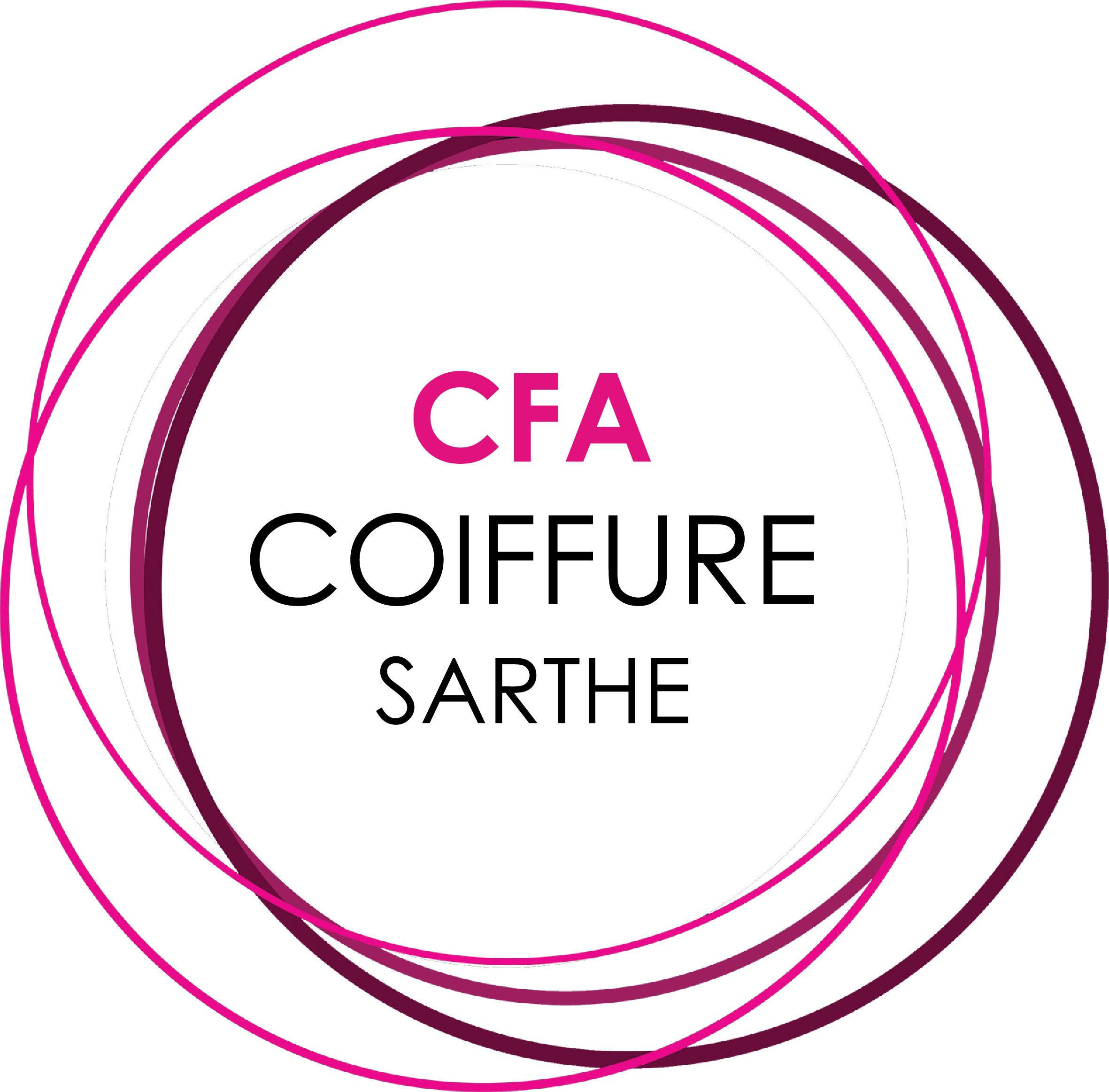 Logo UNION NATIONALE DES ENTREPRISES DE COIFFURE DE LA SARTHE ET CFA