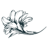 Logo MADAME SEVERINE JANVIER