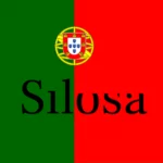 Logo SILOSA INTERIOR
