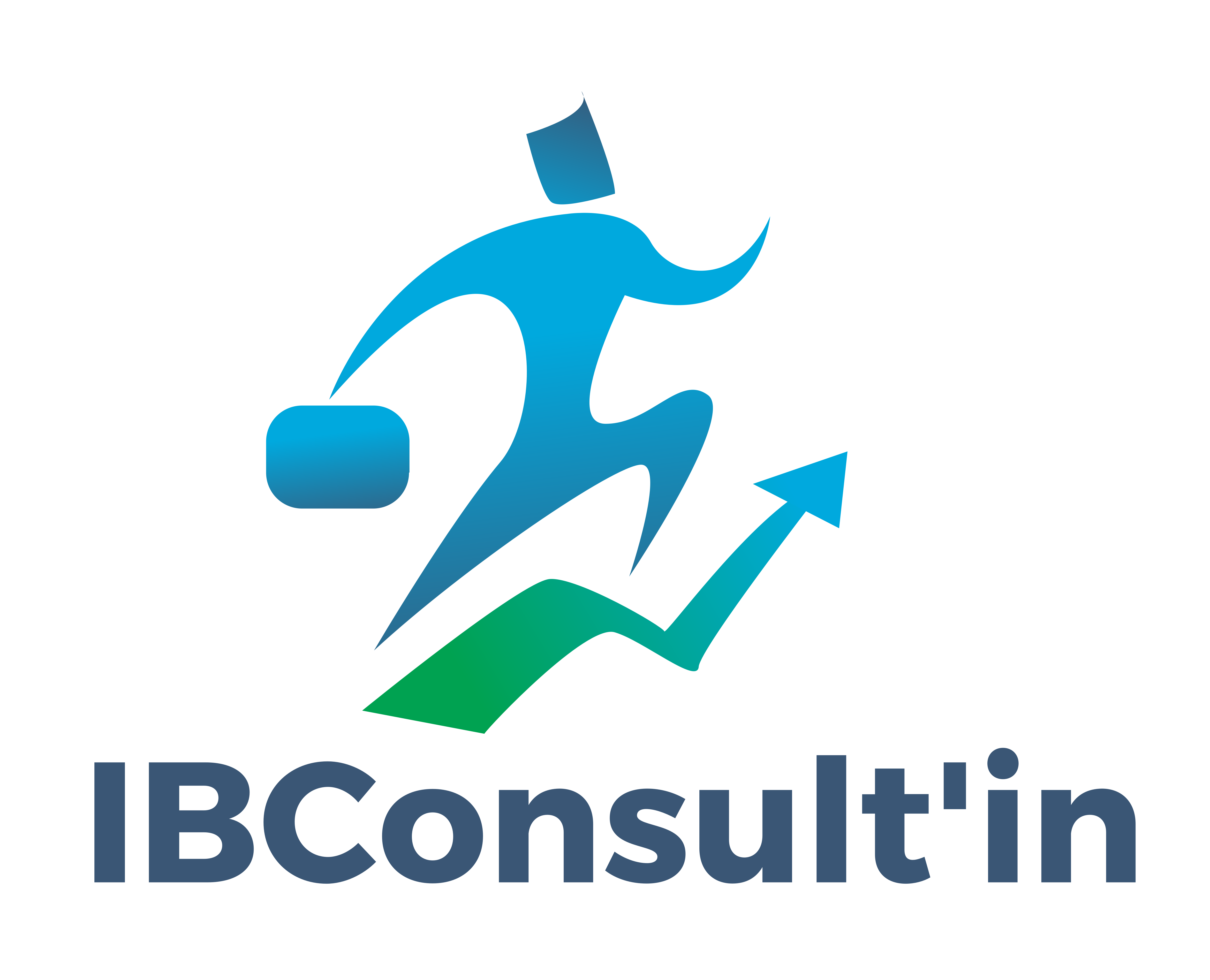 Logo IB CONSULT'IN