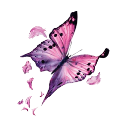Logo MADAME CLARISSE SOTON