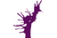 Logo CAVE DU TIVOLI