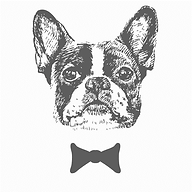 Logo MADAME MORGANE GRANDEMANGE