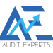 Logo AUDIT EXPERTS