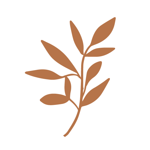 Logo AUGUSTE