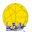 Logo ACACIA