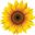 Logo MADAME DELPHINE STRIFFLING