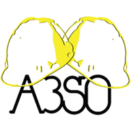 Logo A3SO