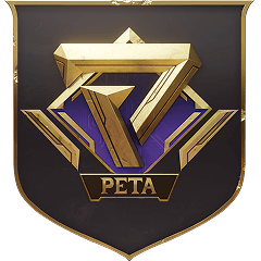 Logo WEB SERVICES PC