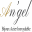 Logo AN'GEL