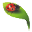 Logo PHYTOVAL