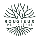 Logo 800 152 522 