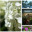 Logo LES TERRASSES ET JARDINS DU BASSIN