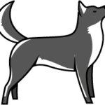 Logo CANIDELITE
