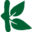 Logo PAYS BASQUE TUK TUK