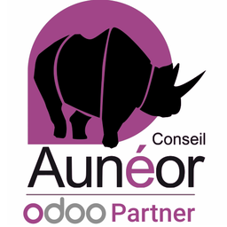 Logo AUNEOR CONSEIL
